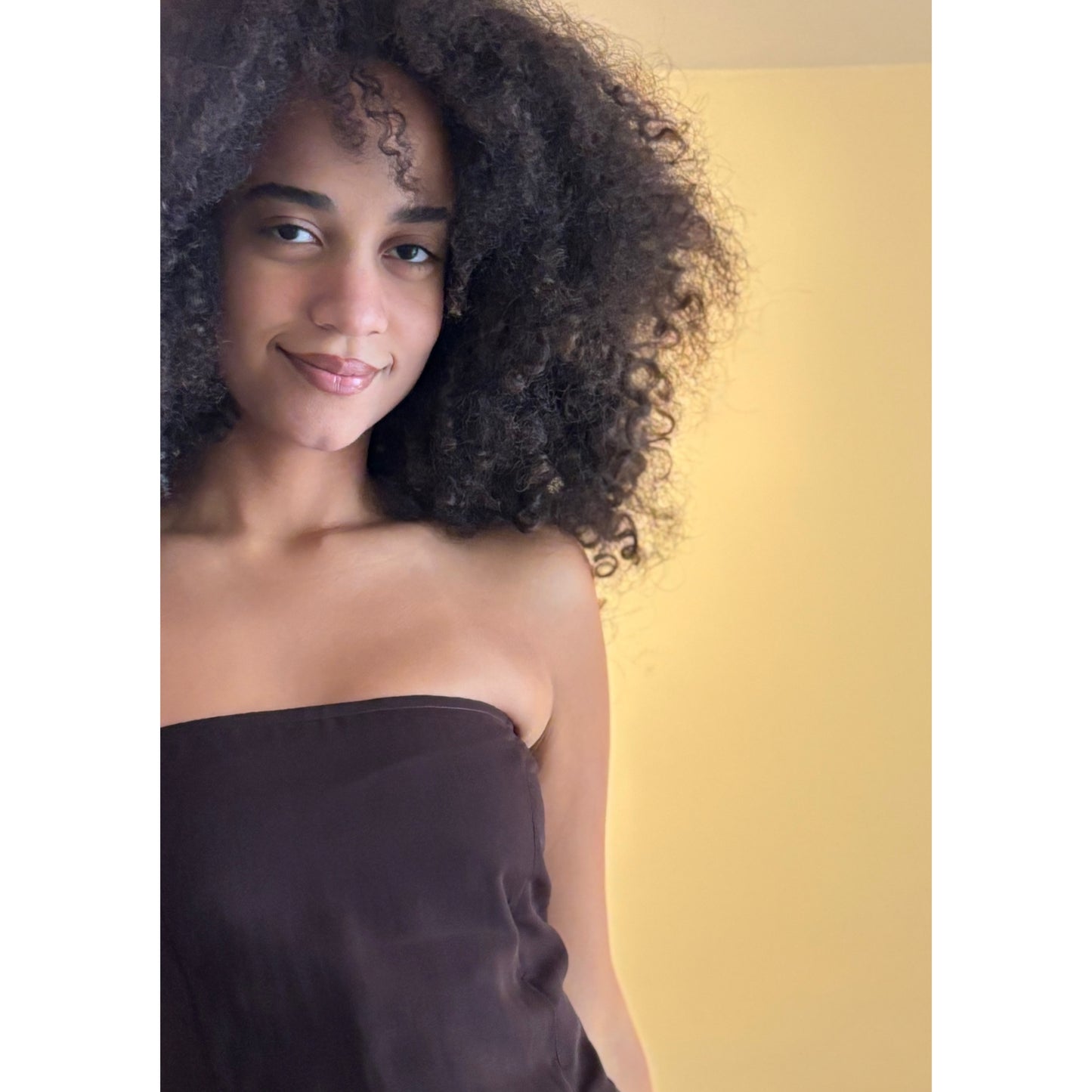 Chocolate brown top